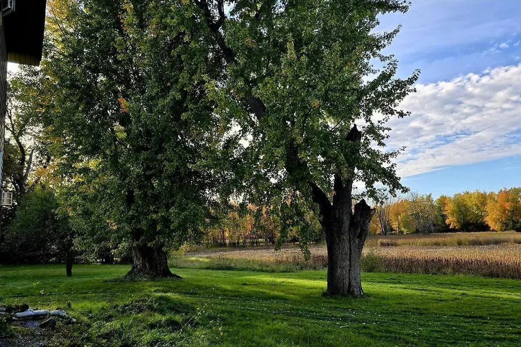 Lakefront House 25 Minutes From Downtown Ottawa-Gatineau